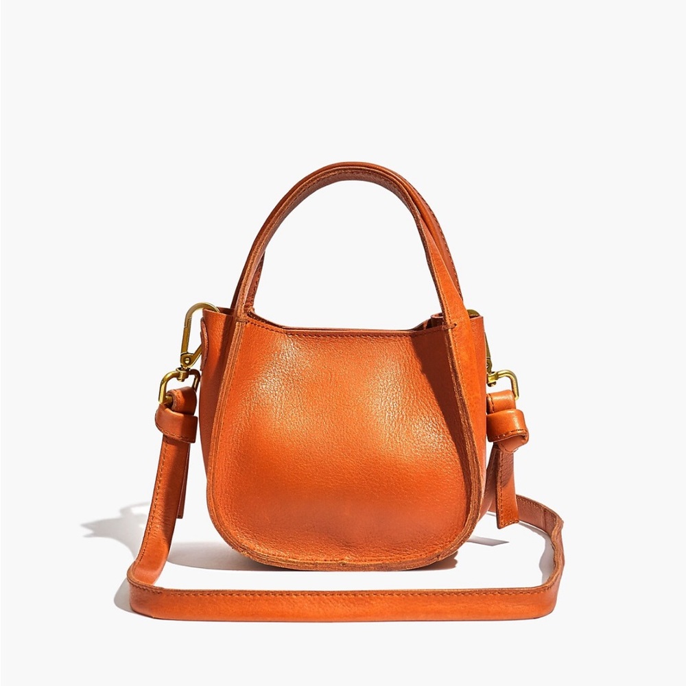 Brown Leather Madewell Micro Sydney Crossbody Bag